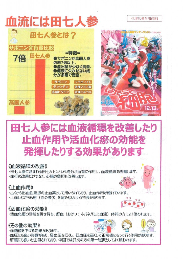 田七人参1